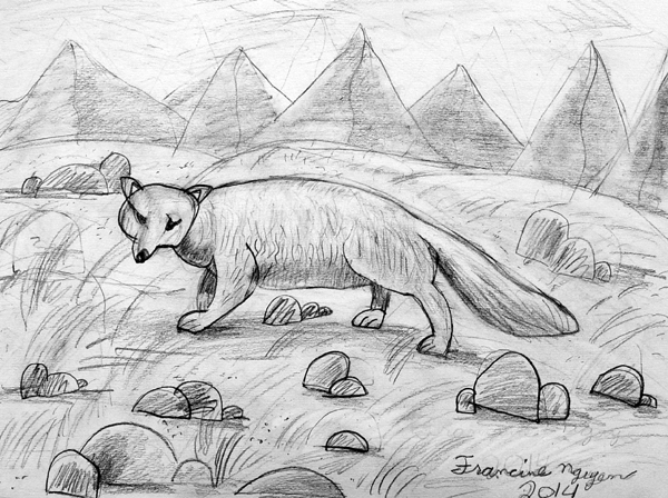 Fox