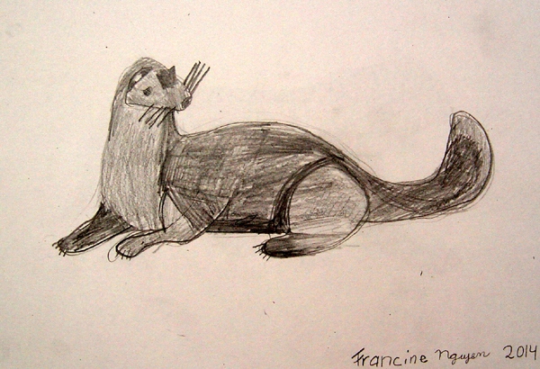 Mink