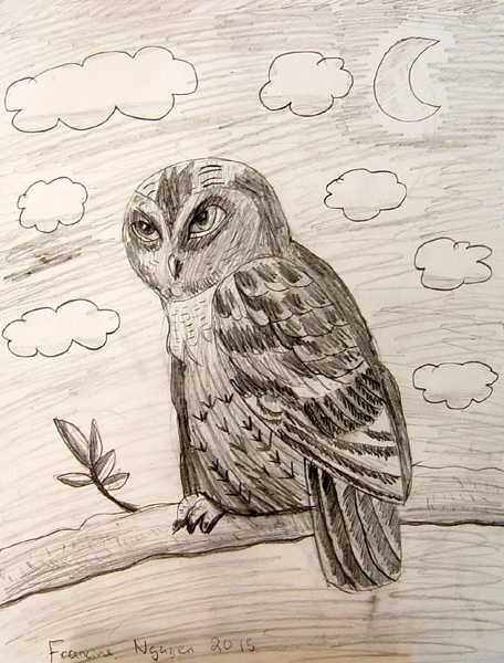 Owl