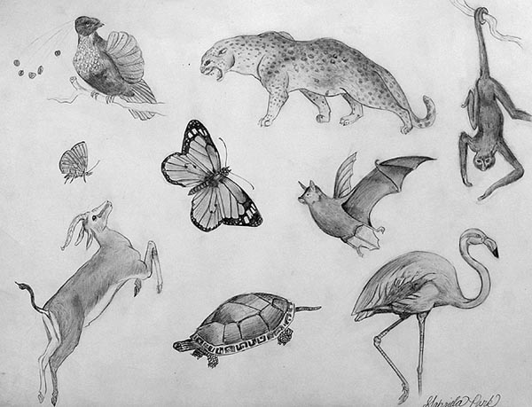 Sketches_1
