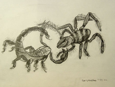 A_scorpion_and_a_spider