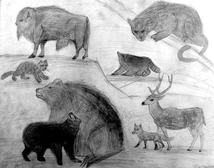 Animals_1