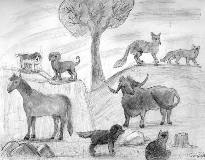 Animals_2