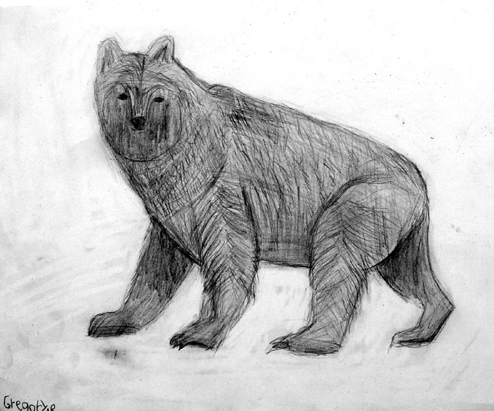 Bear