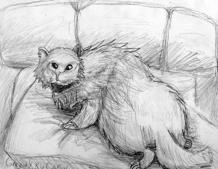 Cat