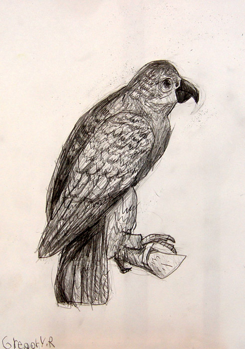 Eagle