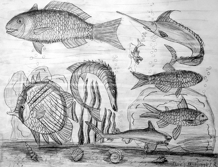 Fish