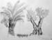 Sketches_2