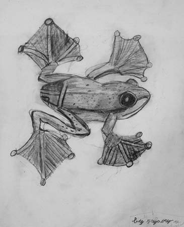 Frog
