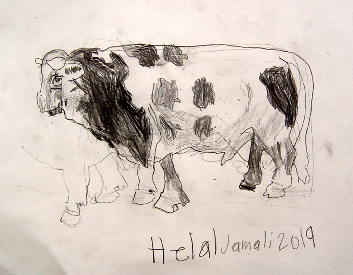Bull