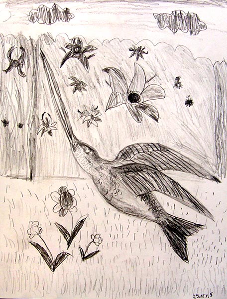 Bird