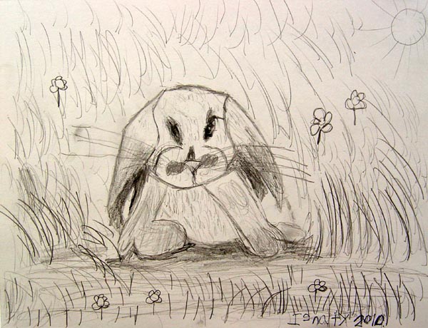 Bunny