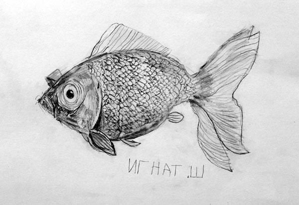 Fish_2