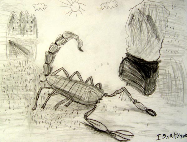 Scorpion