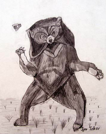 Bear
