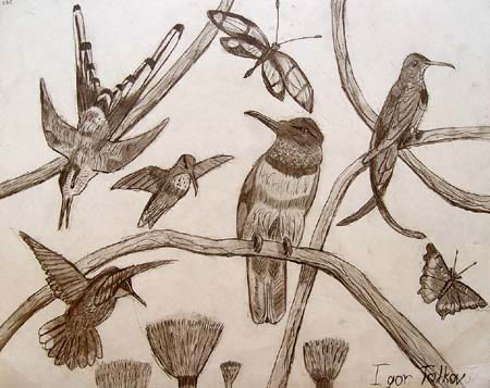Birds