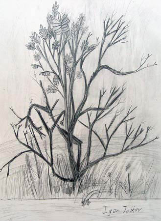 Branches