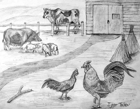 Farm