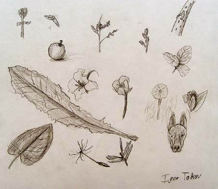 Sketches