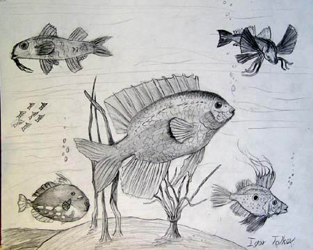 Underwater