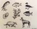 Sketches_2_(animals)