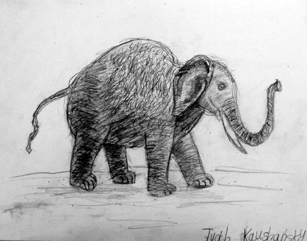 Elephant