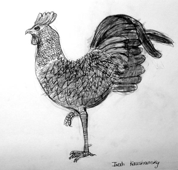 Rooster