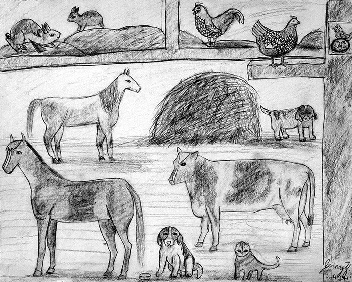 Animals