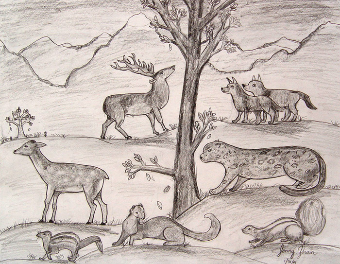 Animals_2