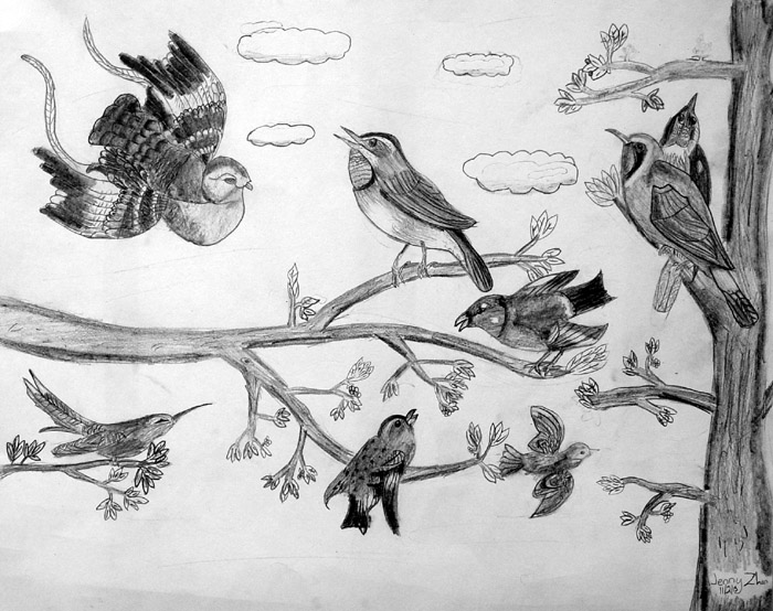 Birds