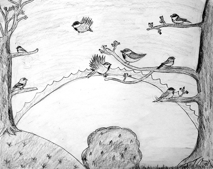 Birds_2