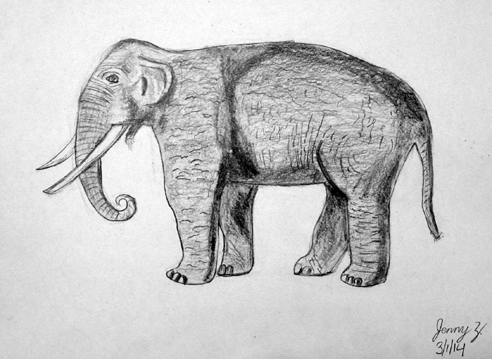 Elephant