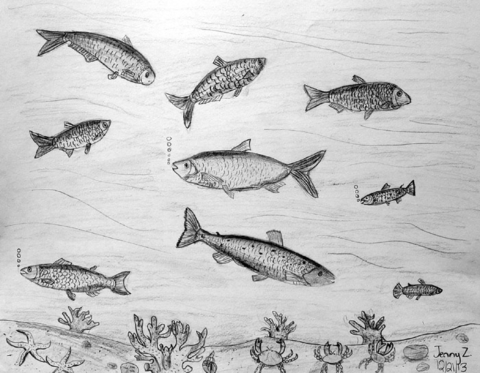 Fishes