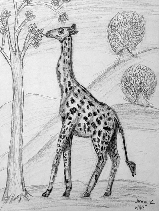 Giraffe