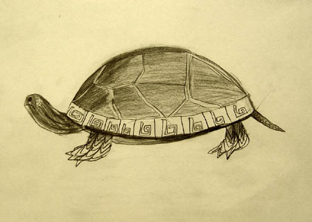 Turtle