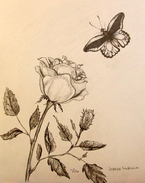 A_rose_and_a_butterfly
