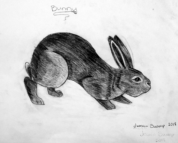 Bunny