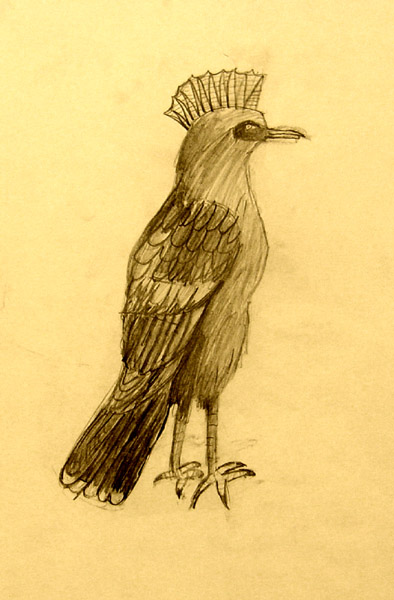 Bird_2