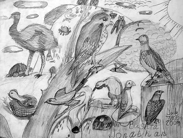 Birds_2