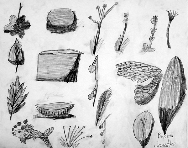 Sketches