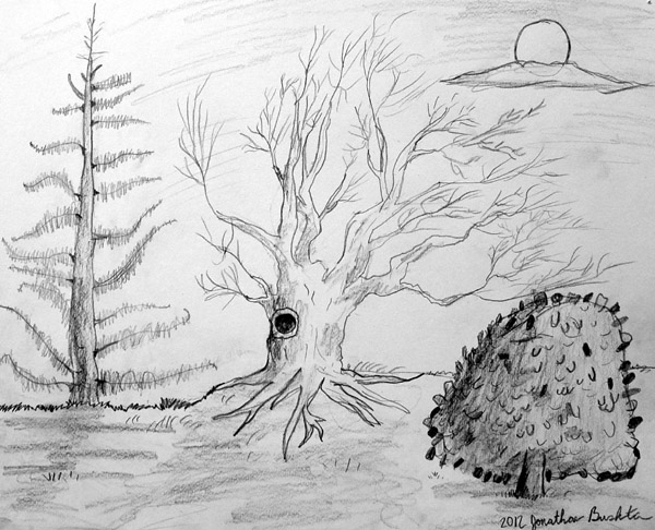Trees