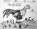 Fowl