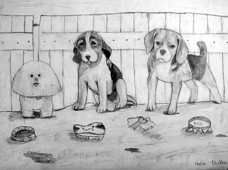 Dogs