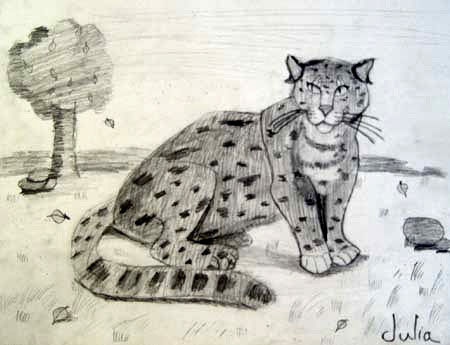 Leopard