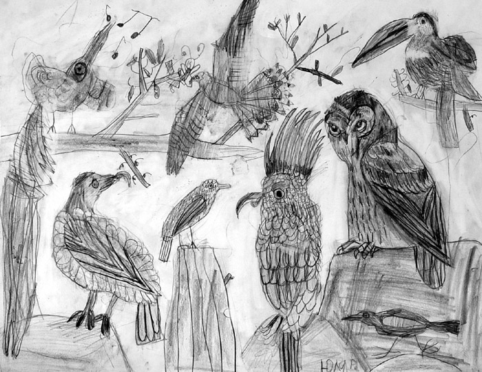 Birds