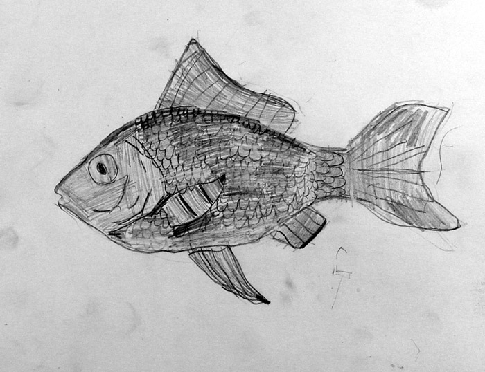 Fish