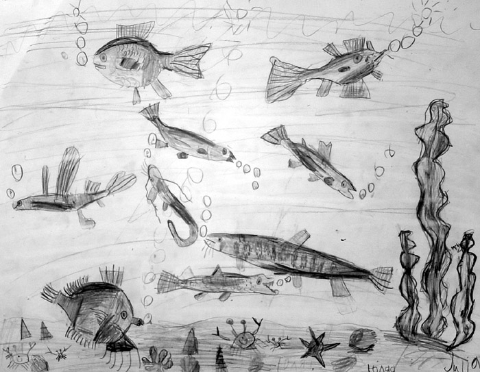 Fish_2