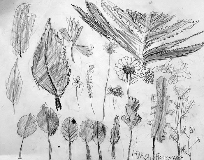 Sketches