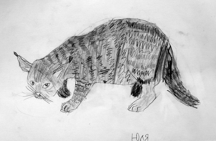 Wild_cat