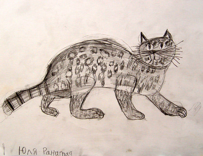 Wild_cat_2
